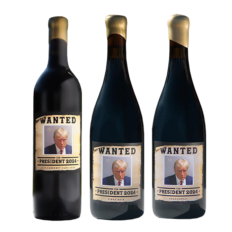 Wanted For President 2024 Mixed 6 Pack