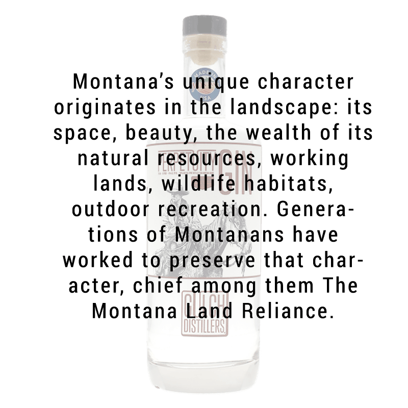 Guardian Gin  Gulch Distillers