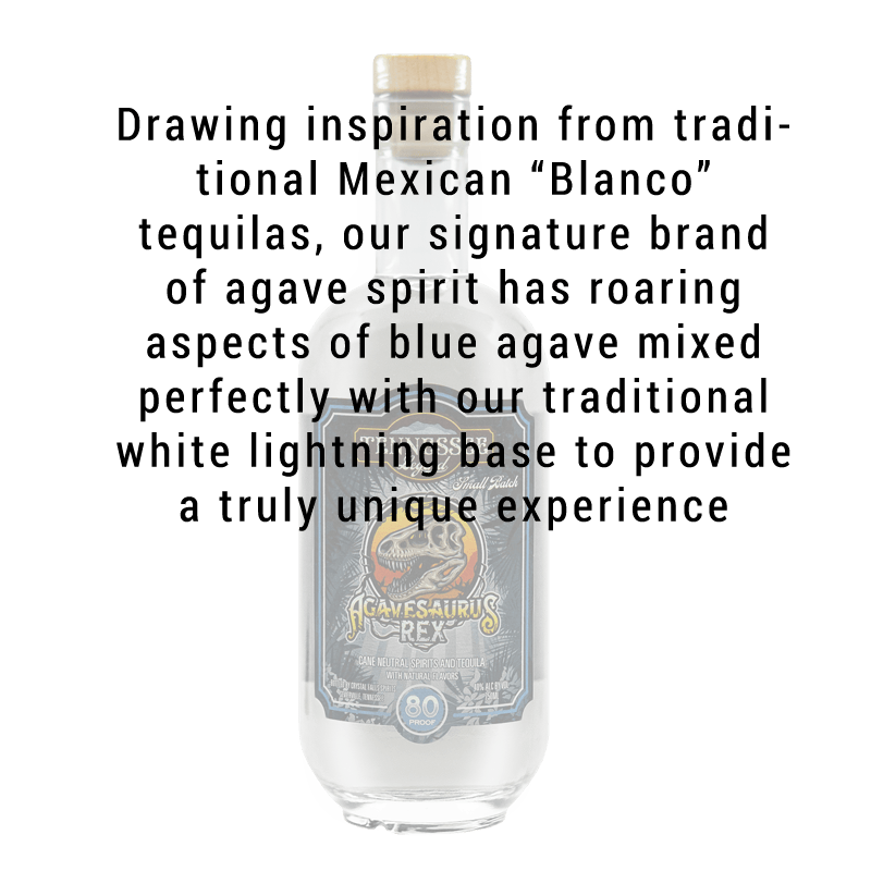 Boozy Book Review: Agave Spirits