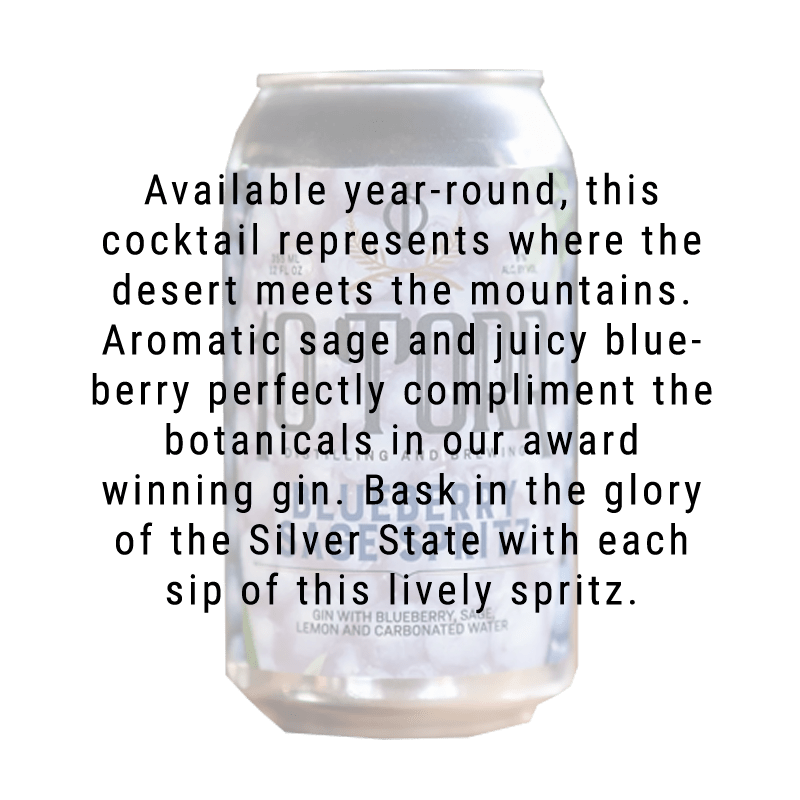 10 Torr Blueberry Sage Spritz Cocktail 12.oz 4 Pack - Great American Craft Spirits