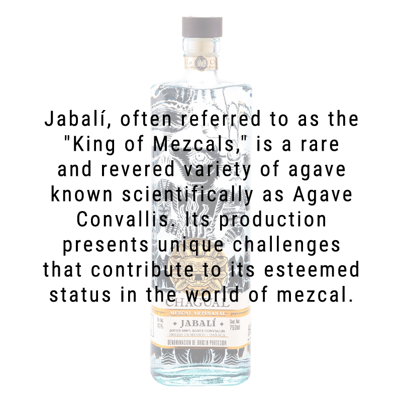 Chagual Mezcal Jabali 750mL