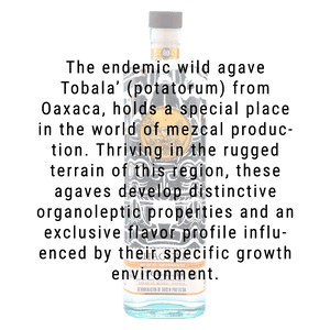 Chagual Mezcal Tobala 750mL