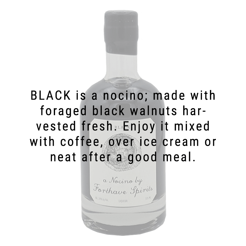 
            
                Load image into Gallery viewer, Forthave Spirits Black Nocino Liqueur 375mL
            
        