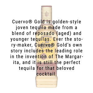 Jose Cuervo Especial Gold Tequila 1.75L | Great American Craft Spirits